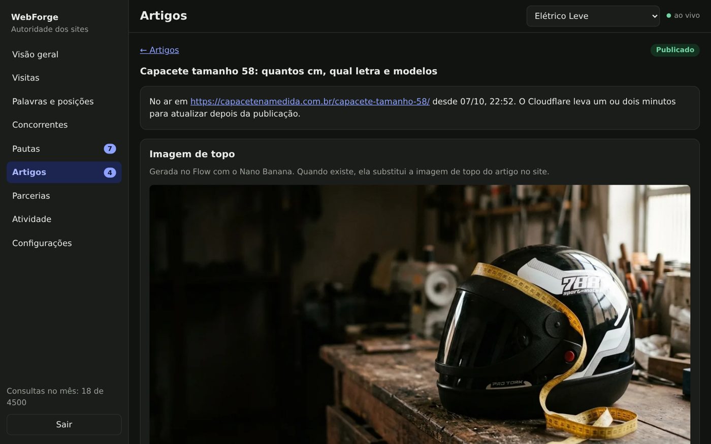 Authority operator: an article with a 100% SEO audit, ready to publish